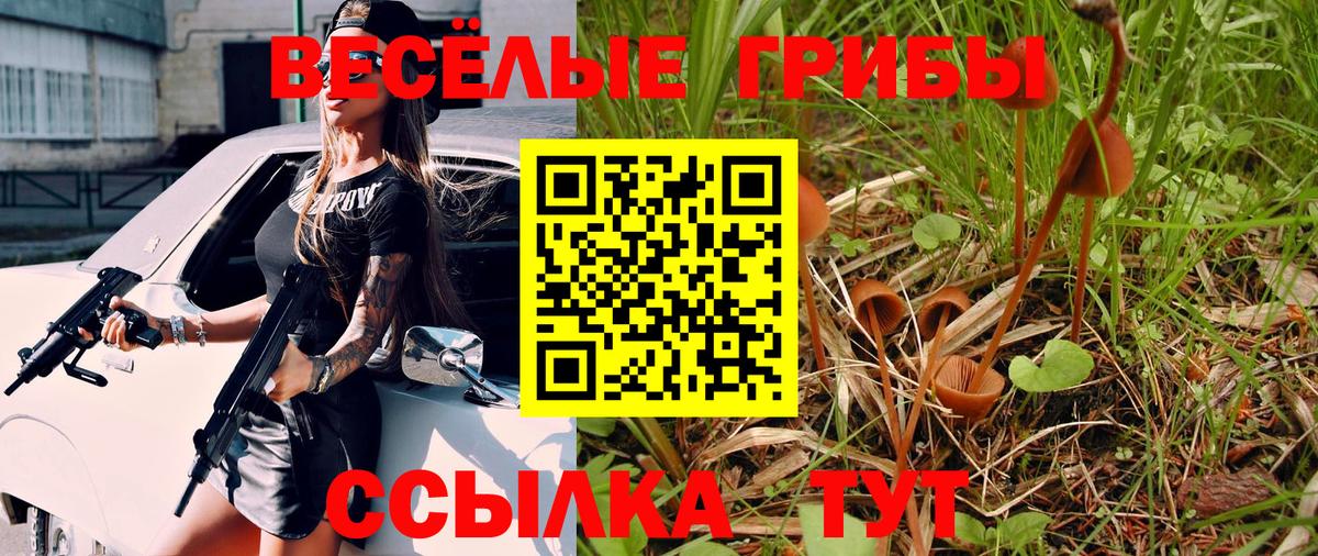 Псилоцибиновые грибы ЛСД Барнаул